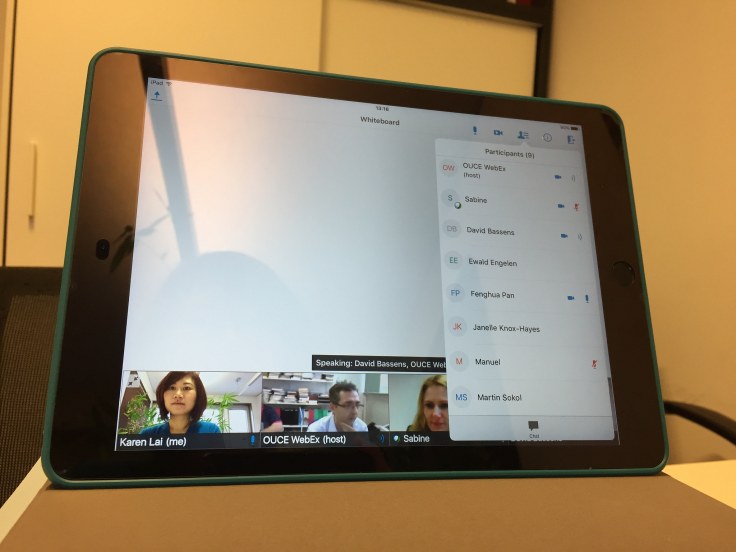WebEx meeting with FinGeo Executive Committee