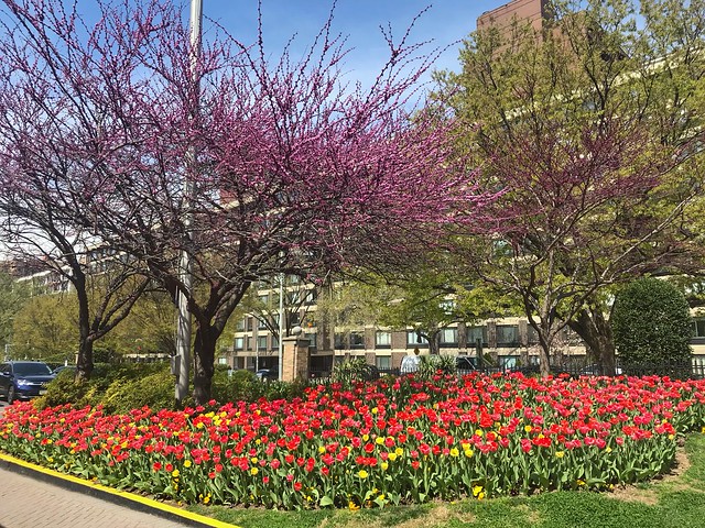 At the front entrance of the Omni Shoreham Hotel
